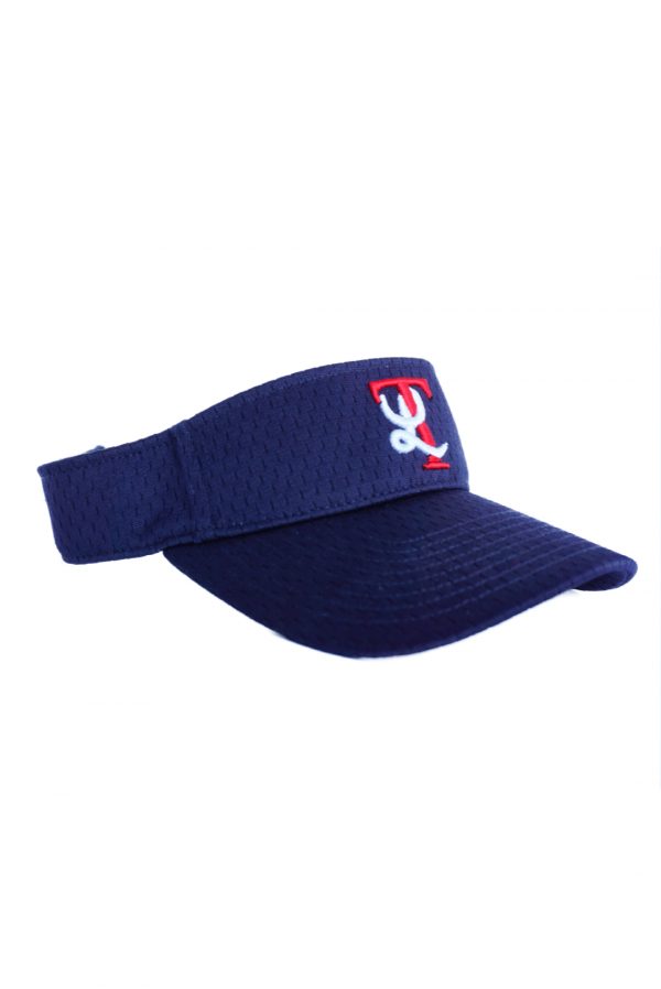 Visor